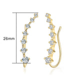 18K White Gold Plated Earring
