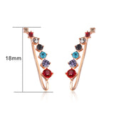 18K White Gold Plated Earring