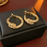 Zircon Snake Cricle Earring