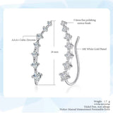 18K White Gold Plated Earring