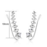 18K White Gold Plated Earring