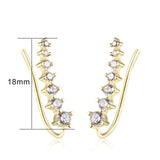 18K White Gold Plated Earring
