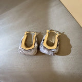 Transparent Resin Earrings