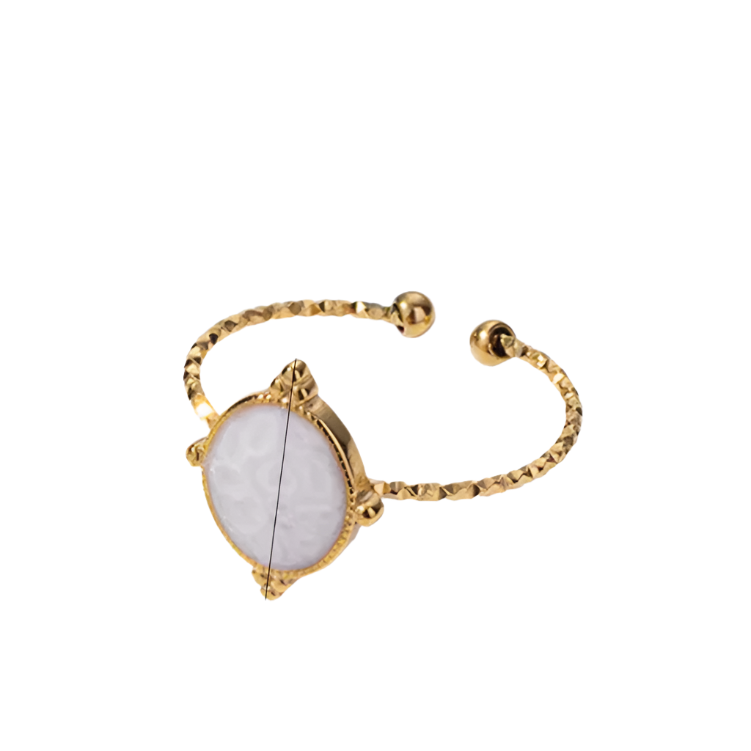 Elliptical Drip Oil Ring