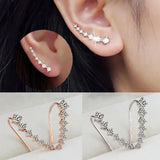 18K White Gold Plated Earring