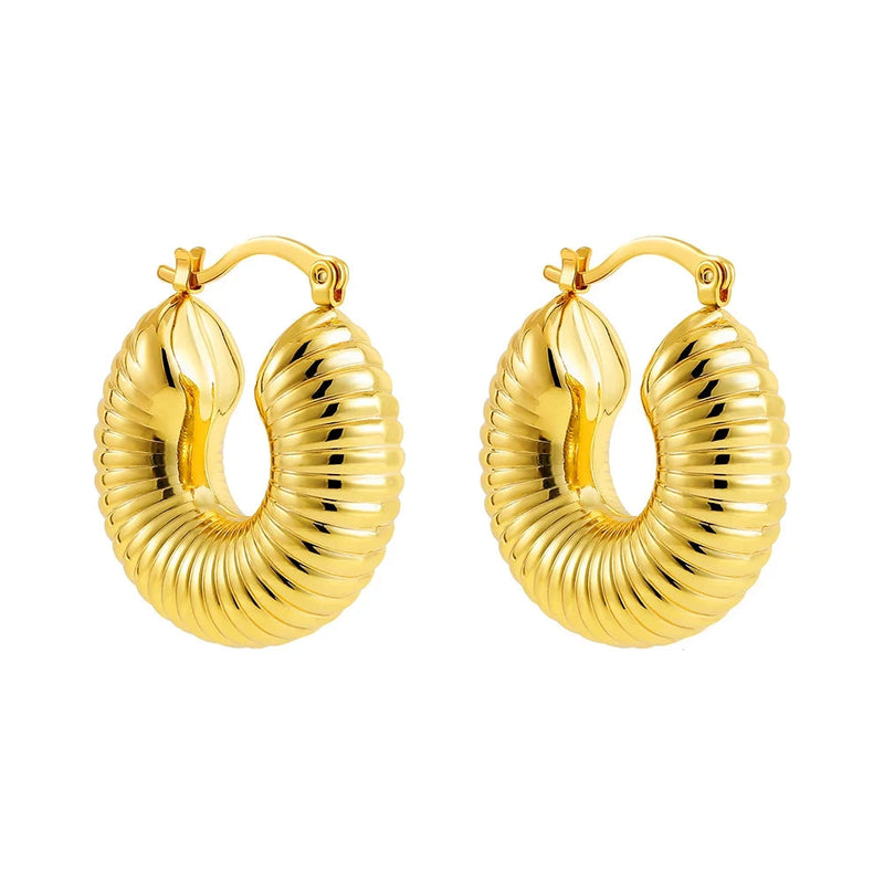 Punk Chunky C Shape  Earring