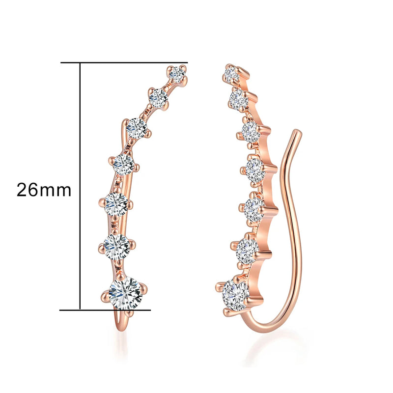 18K White Gold Plated Earring